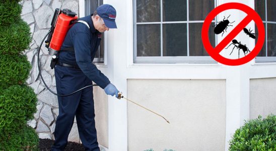 Yakakent Dezenfeksiyon böcek ilaçlama ve haşere kontrolü — ilaclama-tr.com
